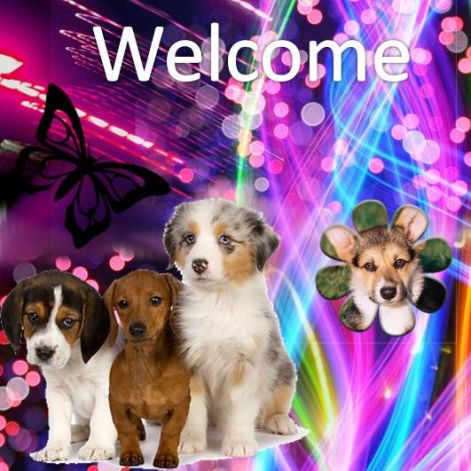 welcome_www.kepfeltoltes.hu_.jpg